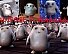 adipose1.jpg