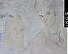 p8180010-5c6108.jpg
