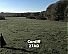 vlcsnap-50395.jpg